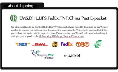 Information about shipping options including EMS, DHL, UPS, FedEx, and E-packet services.